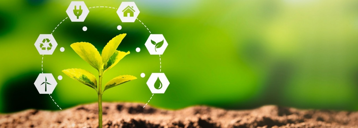 Een plantje dat net uit de grond komt met allerlei klimaatverbeterende opties